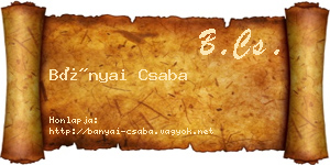 Bányai Csaba névjegykártya