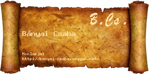 Bányai Csaba névjegykártya